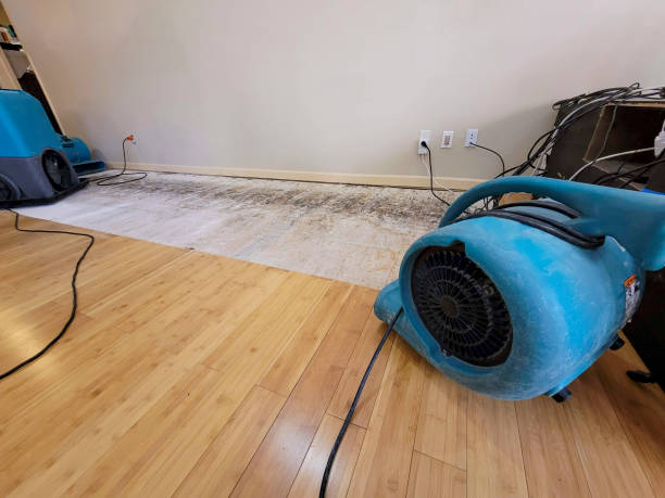 Professional Water Damage Repair technician working in Weston, WV